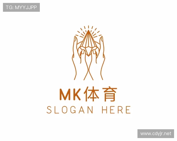 解读MK中国官方网站入口